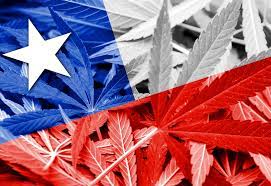 La ley del cannabis en Chile: ¿qué debes saber?