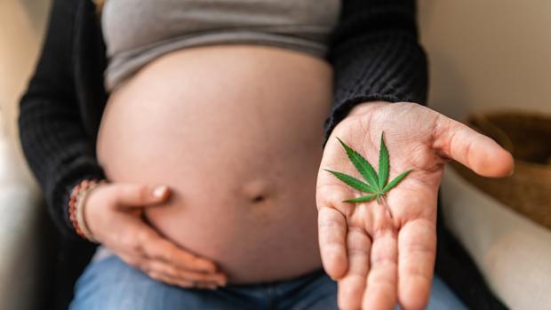 Consumo de cannabis durante el embarazo: ¿cuáles son los riesgos para el feto?